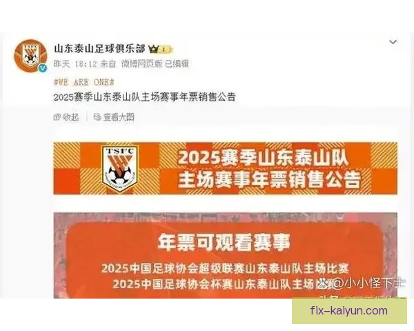 中超足协杯冠军争夺战即将开启，各队实力分析持续升温